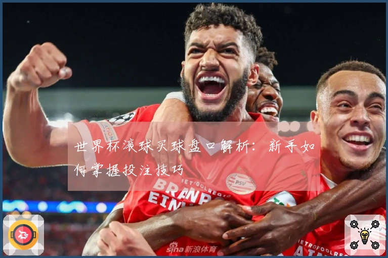 世界杯滚球买球盘口解析：新手如何掌握投注技巧