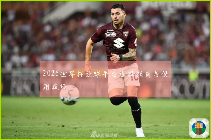 2026世界杯让球平台选择指南与使用技巧