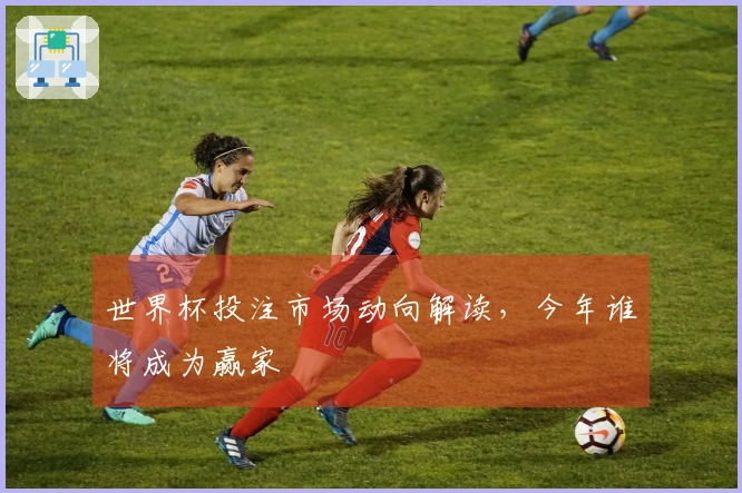 世界杯投注市场动向解读，今年谁将成为赢家