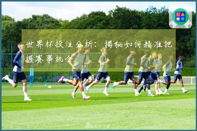 世界杯投注分析：揭秘如何精准把握赛事机会