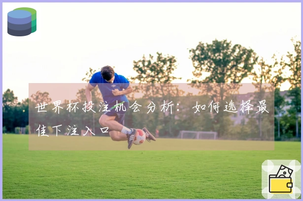 世界杯投注机会分析：如何选择最佳下注入口