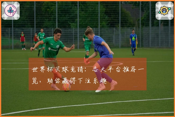 世界杯买球竞猜：各大平台推荐一览，助你赢得下注乐趣