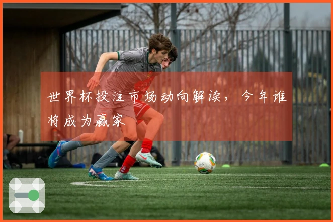 世界杯投注市场动向解读，今年谁将成为赢家