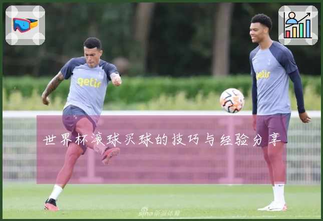 世界杯滚球买球的技巧与经验分享
