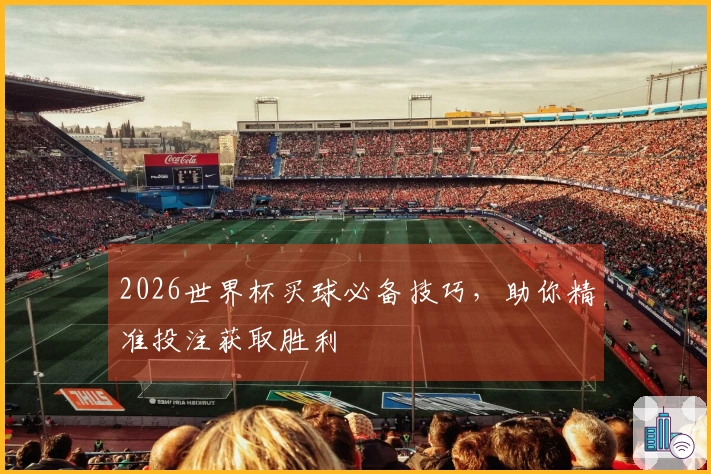 2026世界杯买球必备技巧，助你精准投注获取胜利