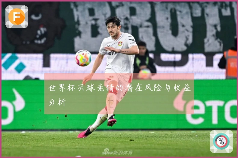 世界杯买球竞猜的潜在风险与收益分析