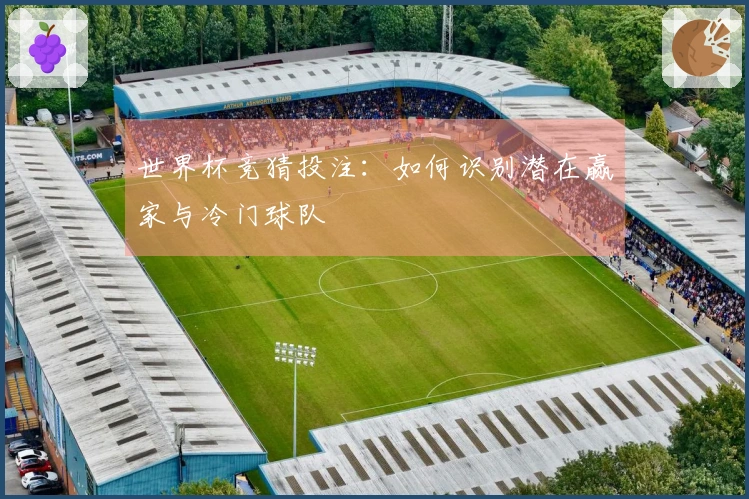 世界杯竞猜投注：如何识别潜在赢家与冷门球队