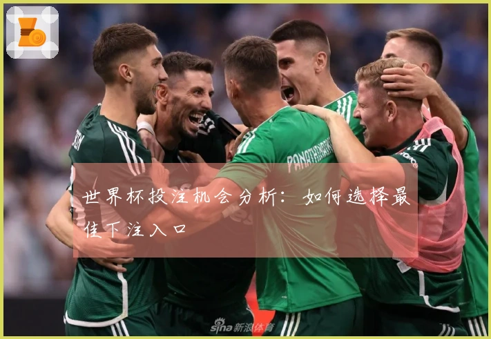 世界杯投注机会分析：如何选择最佳下注入口