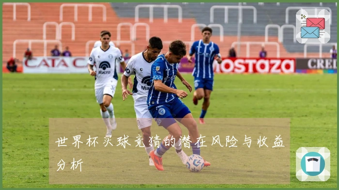 世界杯买球竞猜的潜在风险与收益分析